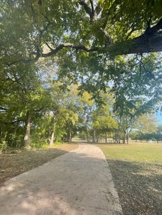 an empty path in the middle of a park