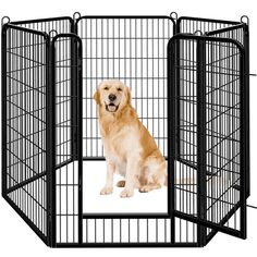 a golden retriever sitting in a dog kennel