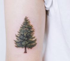 a small pine tree tattoo on the arm