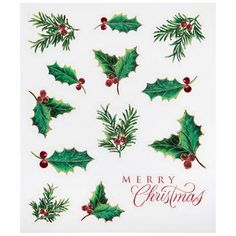 a christmas card with holly leaves and berries