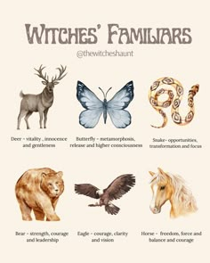 some animals and their names are shown in this graphic style, with the words witches'familiar