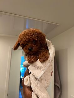 a person holding a brown dog wrapped in a white towel while standing next to a mirror