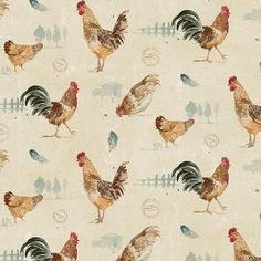 roosters and hens are on a white background