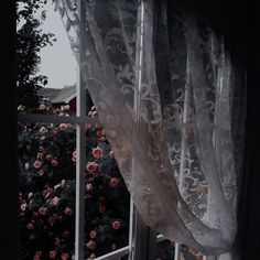 an open window with sheer curtains and flowers outside