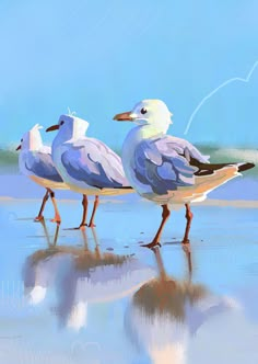 three seagulls walking on the beach with their reflection in the wet sand and water