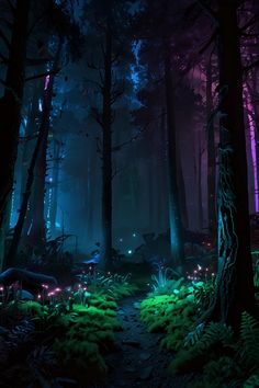 a dark forest filled with lots of green plants and glowing lights in the woods at night