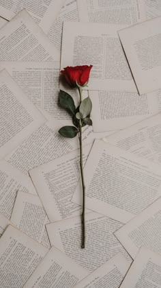 a single red rose sitting on top of an open book with pages scattered around it