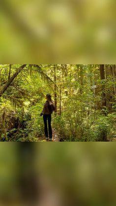 a woman is walking through the woods with her backpack on and looking at something in the distance