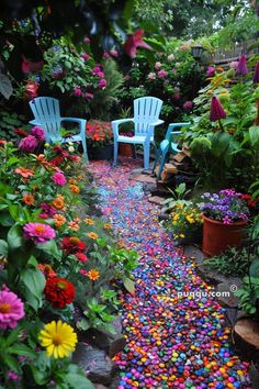 two blue chairs sitting in the middle of a garden filled with colorful flowers and plants