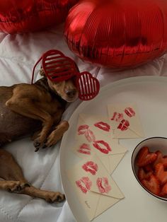 a dog laying on a bed next to a bowl of strawberries and red balloons