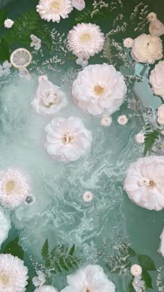 white flowers floating in a pool of water