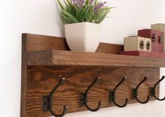 a potted plant sitting on top of a wooden shelf next to hooks and books