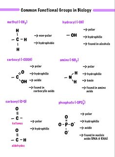 the symbols for different types of chemicals are shown in purple and pink letters, with black