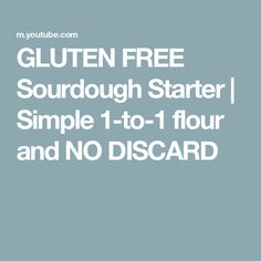 gluten free sourdough starter simple 1 - to - 1 flour and no discard