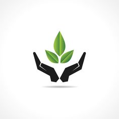 two hands holding a green leaf logo