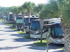 several rv parks lined up along the street with palm trees on either side and parked motorhomes