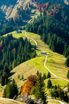 a scenic view of the mountains with trees on each side and a road winding through them