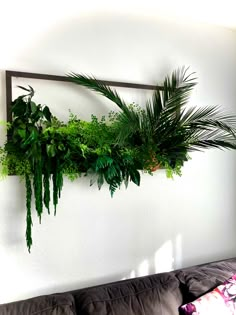 a living room with a couch and some plants hanging on the wall over it's head