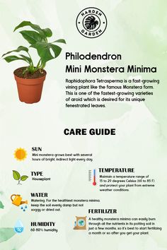 an info sheet describing the different types of plants and how they are used to care for them