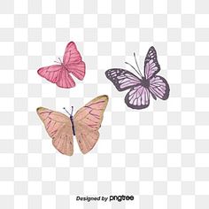 three butterflies flying in the air, with one pink and one purple butterfly on it's wings