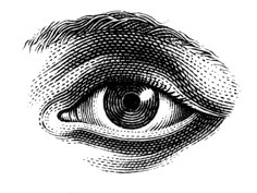 an eye looking into the distance with black and white lines on it, vintage line drawing or engraving illustration