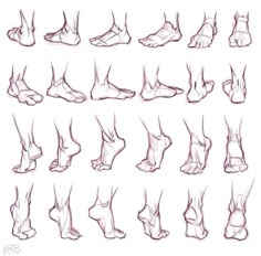 a drawing of feet and ankles with different angles to show the various positions for each foot