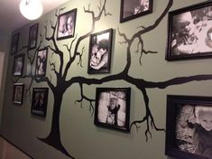 a family tree with pictures on the wall