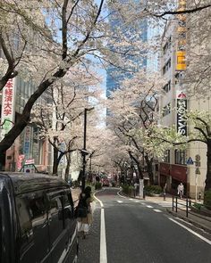 a van parked on the side of a road next to trees with blossoming flowers