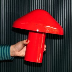 a person holding a red object in front of a black wall with vertical stripes on it