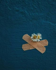 a piece of brown paper with a daisy on it sitting next to a pair of scissors