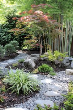 a garden with rocks and plants in it