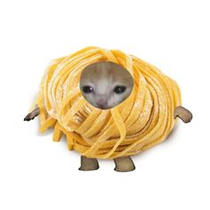 a small mouse is peeking out from a pile of pasta noodles that are wrapped in yellow thread