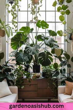 a living room filled with lots of green plants