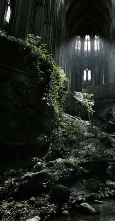 sunlight shining through the windows into an abandoned cathedral with moss growing on the rocks and water