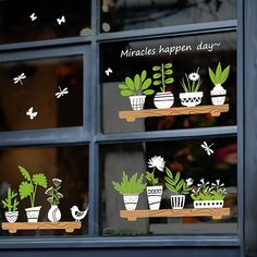 there are many potted plants in the window