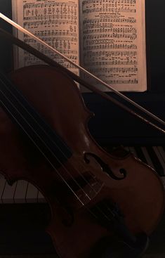 an old violin sitting in front of music sheets