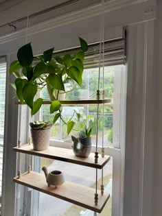 a window sill filled with plants next to a potted plant on top of a wooden shelf