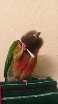 a small bird sitting on top of a green box next to a pink and white object