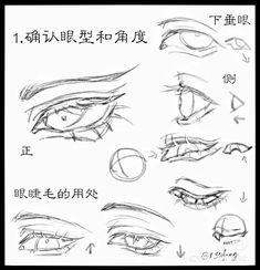 various types of eyes with chinese writing on the bottom and bottom half of each eye