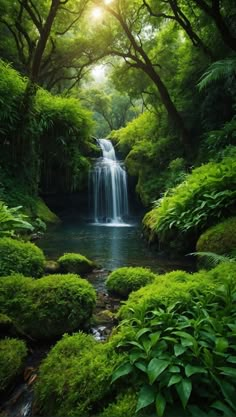 a small waterfall surrounded by lush green trees and bushes in the forest with sun shining through