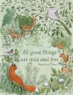 an image of a card with animals and birds in the woods, all good things are wild and free