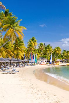 the beach is lined with palm trees and umbrellas