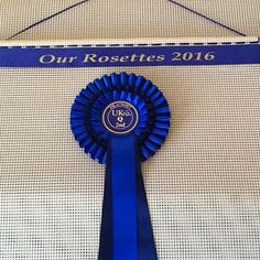 a blue ribbon is hanging on the wall next to a sign that says our rosettes 2016