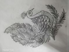 a drawing of a peacock with feathers on it's back