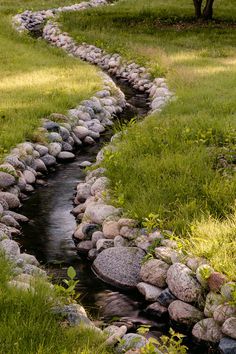 a stream running through a lush green field