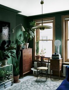 a living room filled with lots of plants next to a window and a chair in front of it