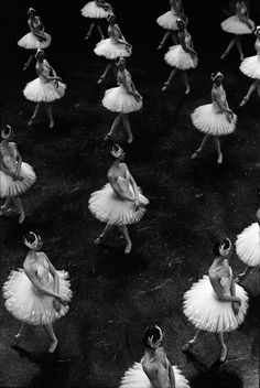 black and white photograph of dancers in tutus