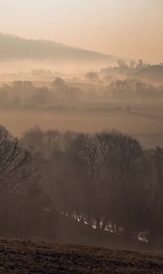 a foggy landscape with trees and hills in the distance