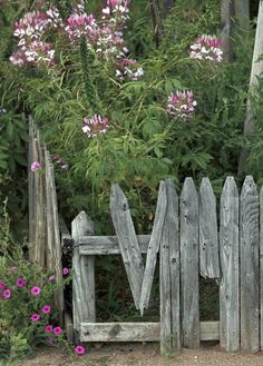 an old wooden fence is surrounded by wildflowers