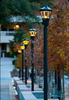 a row of street lamps sitting on the side of a road next to some trees